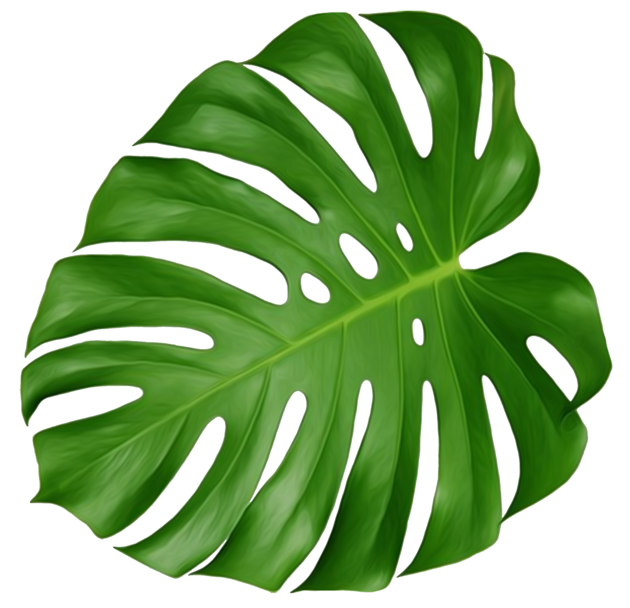 feuille